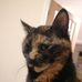 Irene Earl - Facebook