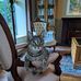 Irene Eddy - Facebook