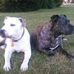 Irene Eldridge-Hanaway - Facebook