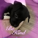 Irene Ennis - Facebook