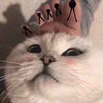 我是ㄕㄠˋㄩˊ但我想變仙草 - @irene._.fish - Instagram