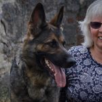 Irene Frey - @ireneu._schaeferhunde - Instagram