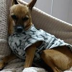 mana_geller - @gellerirene - Instagram