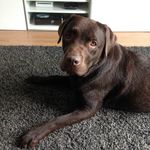 Irene Goodwin - @instagooderz - Instagram