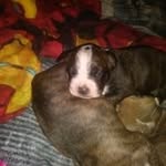 Irene Gorman - @irene.gorman.372 - Instagram