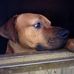 Irene Grayson - Facebook