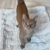 irenecxtx12 - @irene.gregory5 - TikTok