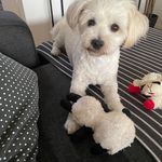 Irene Hackett - @irene.hackett.16 - Instagram