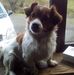 Irene Hackett - Facebook