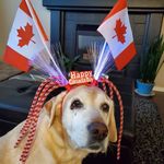 Irene Hamm - @irene_hamm - Instagram