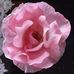 Irene Heinz - Facebook