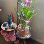 Irene Hendricks - Facebook