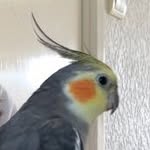 Hesterzijlstrairene - @hesterirene06 - Instagram