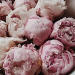 Irene Hodges - @irenehodges5288 - Instagram