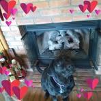 Irene Hoffman - Facebook