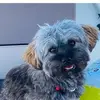 irenehoffmann82 - @irenehoffmann82 - TikTok