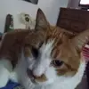 Irene Horner - @irene.horner - TikTok