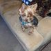 Irene Hulse - Facebook