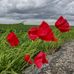 Irene Hulsenboom - Facebook