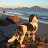 Irene Jauregui - @irenejauregui0 - TikTok
