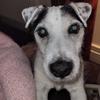 irene johns - @irene.johns62 - TikTok