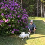 Irene Kittan Johnsen - @irene.johnsen.5 - Instagram