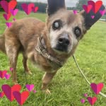 Irene Johnston - @irene.johnston.142 - Instagram