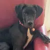 IreneK - @irenekenny - TikTok