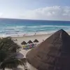 Irene Knowles - @irene.knowles2 - TikTok