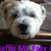 Valerie Irene Leslie - @valerie.irene.les - TikTok