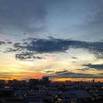 Irene Levine Wei - @irene_levinewei - Instagram