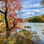 Irene S. Levine - @friendshipsubstack - Instagram