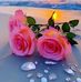 Irene Lima - Facebook