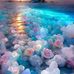 Irene Lomeli - Facebook