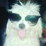 irene Lomeli - @ornelasjohan24 - Instagram