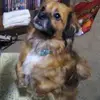 Irene Lundell - @irene.lundell - TikTok