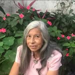 Irene Maciel - @irene56maciel - Instagram