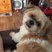 Irene Marchese - Facebook