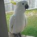 Irene Matthews - Facebook