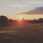 Irene Maxwell - @irenemaxwell9871 - Instagram