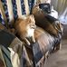 Irene Mayes - Facebook