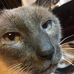 Irene Mccall - Facebook