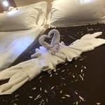 Irene Mccormack - @irenemac46 - Instagram