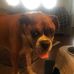 Irene McGregor-Smith - Facebook