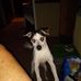Thelma Irene Meeks - Facebook