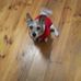 Irene Messer - Facebook