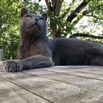 Irene Messer - @sylvia111111 - Instagram