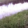 Irene Messercola - @irenemessercola - TikTok
