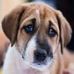 Irene Messinger BM - Facebook