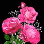Irene Minoo - Facebook